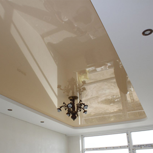 Натяжной потолок в зале